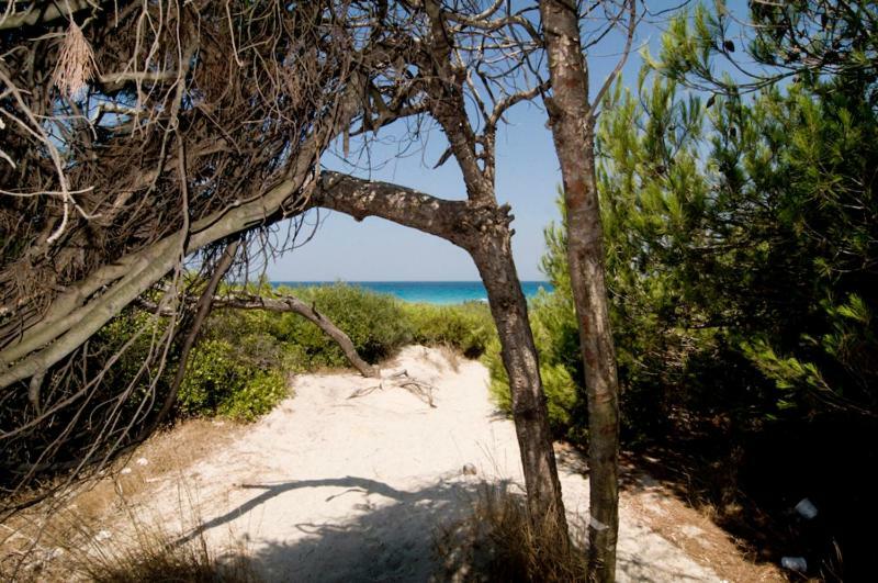 فيلا Casa Direttamente Sul Mare مارينا دي مانكافيسا المظهر الخارجي الصورة